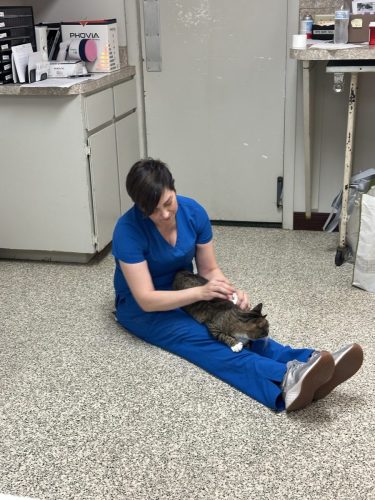 Chelsea and Miss Kitty