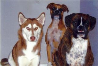 Natasha, Tippy and Liebe