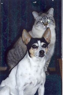 Sweet Pea and Briley